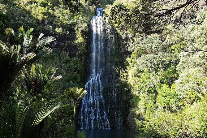 Private Tour: Auckland City and Countryside Tour - Cancellation Policy