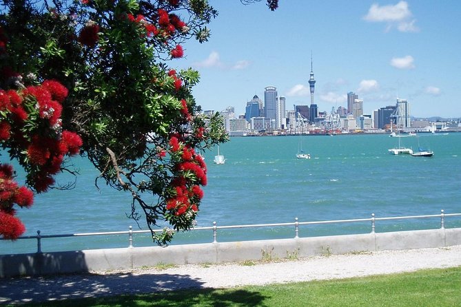 Private Tour: Auckland City and Countryside Tour - Reviews and Ratings