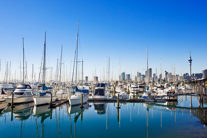 Private Tour: Auckland City and Countryside Tour - Overview of the Tour
