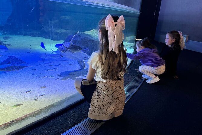 Private Tour: Auckland City, Aquarium, Sky Tower, Mt Eden & Wt - FAQ