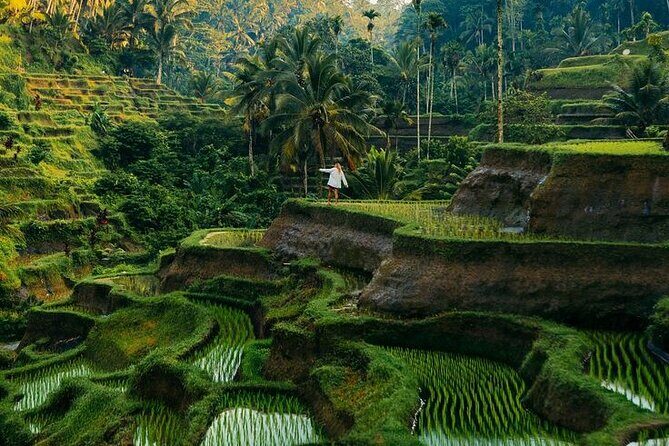 Private Tour Authentic Bali Experience in Ubud - Who Is This Tour Best For?