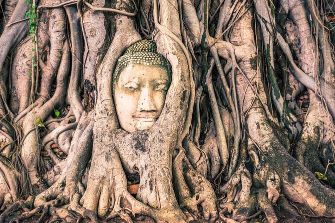 Private Tour: Ayutthaya Temples, Ruins and Lunch on River Cruise - Reviews and Ratings