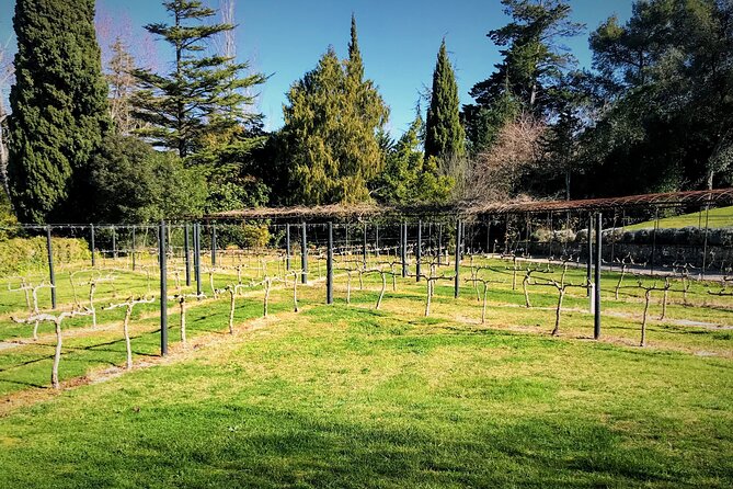 Private Tour Azeitão and Arrábida Wine Cellar From Lisbon - Inclusions and Exclusions