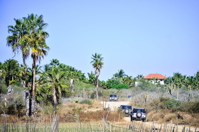 Private Tour Baja Jeep 4x4 Adventure at Los Cabos - The Sum Up