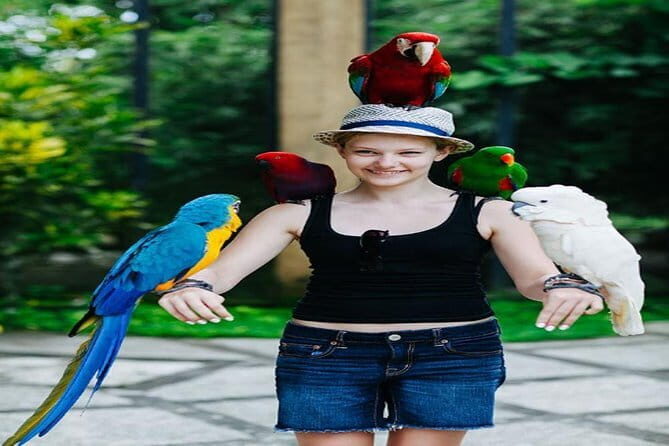 Private Tour Bali Bird Park And Ubud Tour - Considerations and Potential Drawbacks