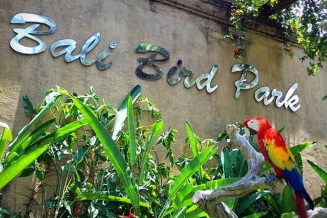Private Tour Bali Bird Park And Ubud Tour - Good To Know