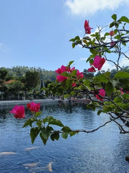 Private Tour Bali Island for 3 Days - Customer Reviews and Recommendations