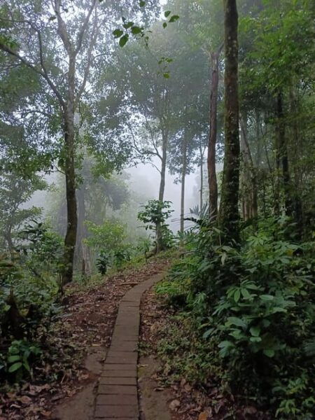 Private Tour Bali Island for 3 Days - Questions You May Have