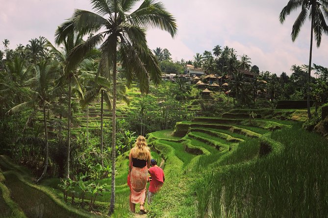 Private Tour: Balinese Culture and Scenery (Visit Ubud Area) - Cancellation Policy