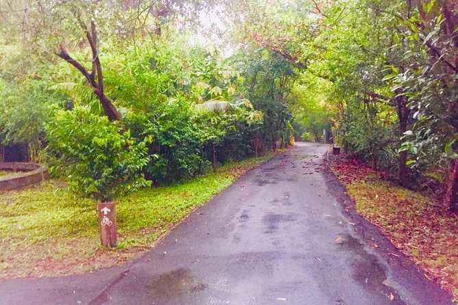 Private Tour : Bangkachao Biking Tour - Overview and Location