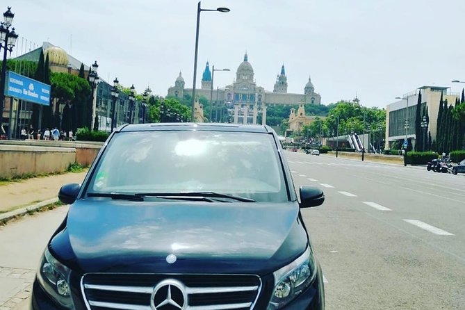 Private Tour Barcelona and Montserrat 8 Hours - Local Guide and Driver