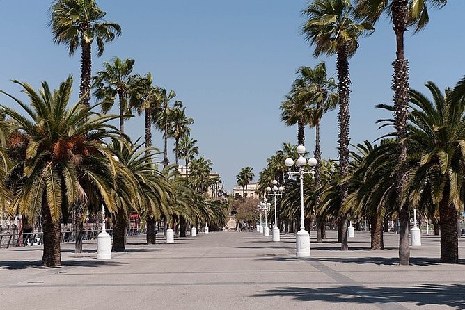Private Tour: Barcelona Half-Day Sightseeing Tour - Practical Information About the Tour