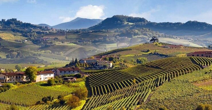 Private Tour: Barolo Wine Tasting in Langhe Area From Torino - Tour Details