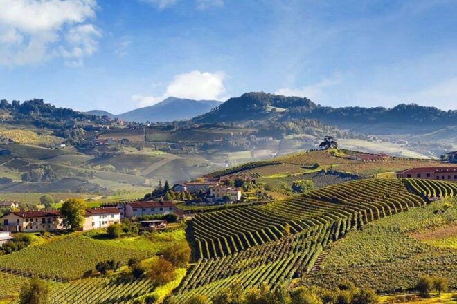 Private Tour: Barolo Wine Tasting in Langhe Area From Torino - Tour Options