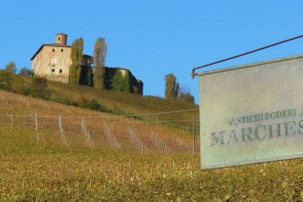 Private Tour: Barolo Wine Tasting in Langhe Area From Torino - Frequently Asked Questions