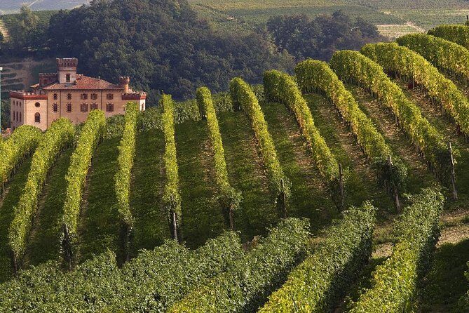 Private Tour: Barolo Wine Tasting in Langhe area from Torino - Good To Know