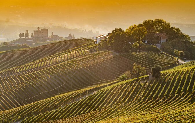 Private Tour: Barolo Wine Tasting in Langhe area from Torino - What to Expect in Terms of Logistics and Value