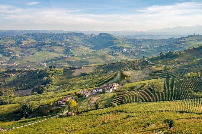 Private Tour: Barolo Wine Tasting in Langhe area from Torino - Ideal for Whom?