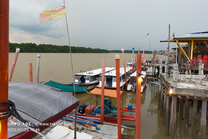 Private Tour Batu Caves,Wonderful Fireflies,Eagles and Silvered Leaf Monkey - Reviews and Verification