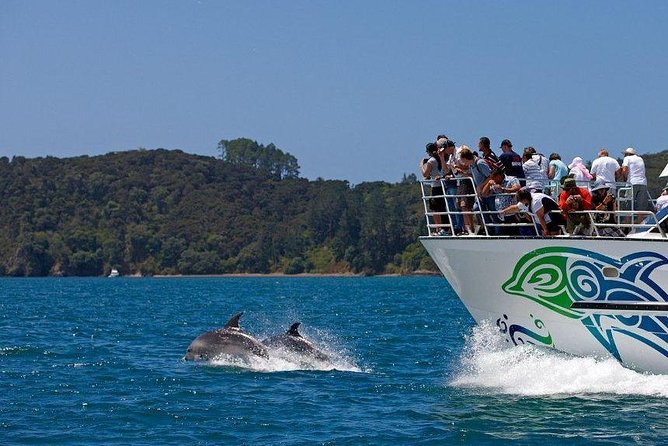 Private Tour: Bay of Islands Day Trip From Auckland - Highlights of the Tour Itinerary