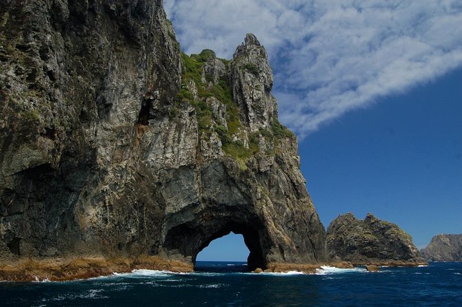 Private Tour: Bay of Islands Day Trip From Auckland - Reviews and Ratings