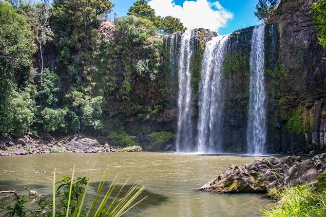 Private Tour: Bay of Islands Day Trip From Auckland - The Sum Up