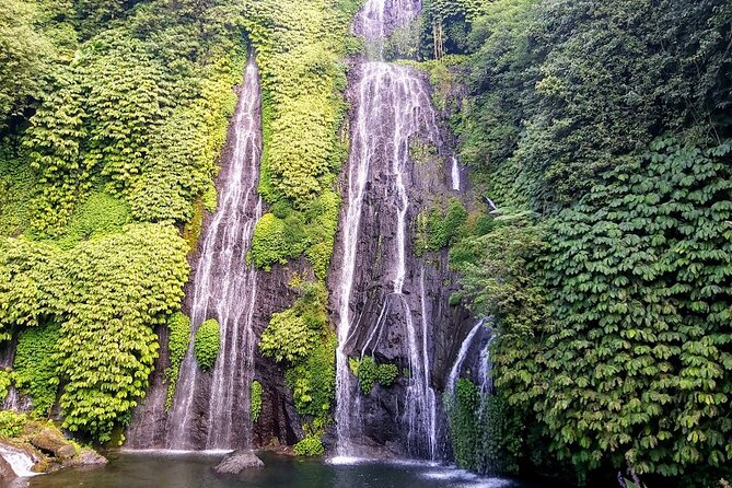 Private Tour Bayumala Waterfall And Rice Terrace UNESCO Site - Tour Overview