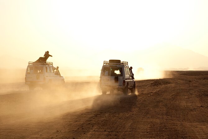 Private Tour Bedouin BBQ in the Egyptian Desert by 4x4 - Good To Know