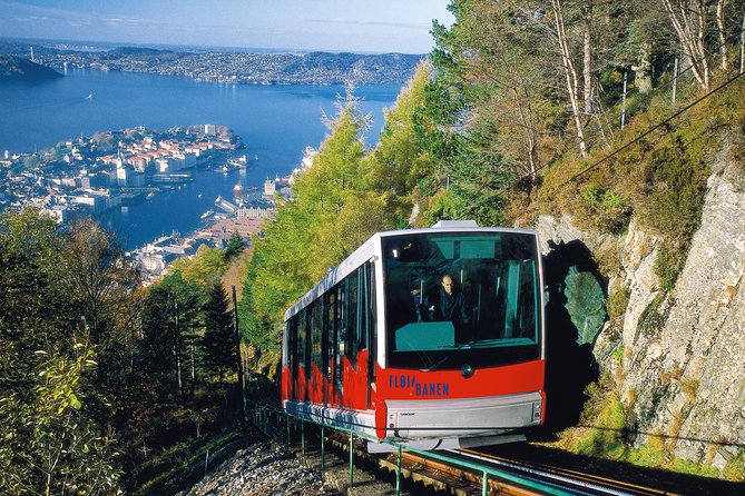 PRIVATE TOUR: Bergen City Sightseeing, 5 Hours - Questions and Help Center