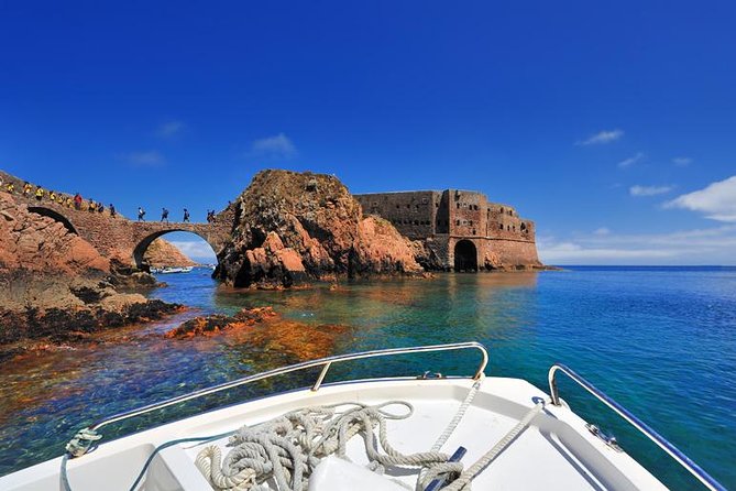 Private Tour: Berlenga Grande Island Day Trip From Lisbon - Positive Feedback and Highlights
