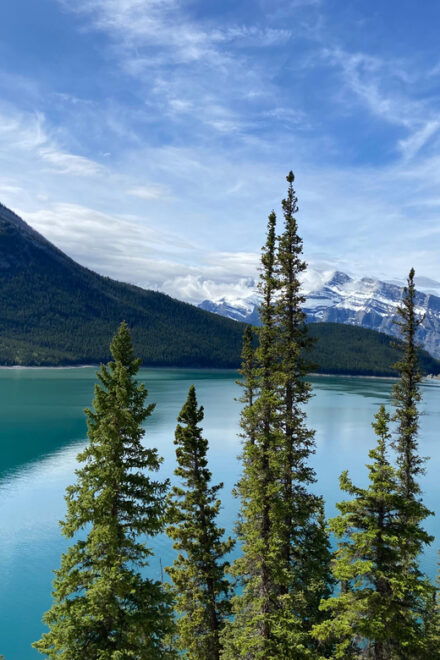 Private Tour - Best of Banff National Park - Itinerary and Experience