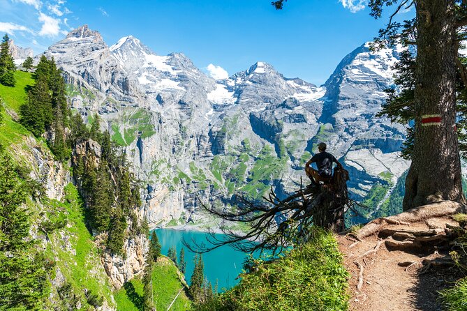 Private Tour Best of Bernese Oberlands From Zurich - Good To Know