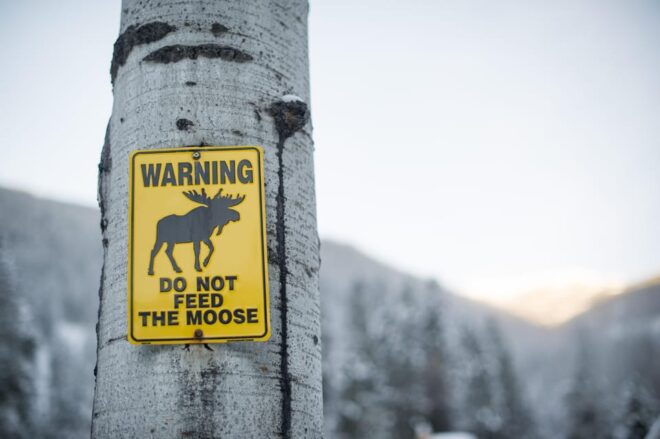 Private Tour - Best of Canmore / Kananaskis - Participant Guidelines and Restrictions