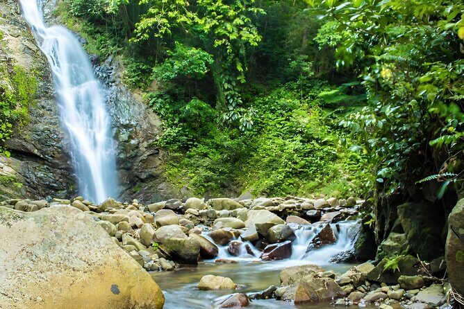 Private Tour Biausevu Waterfall and Fijian Village Experience - Unveiling Fiji: A Deep Dive into the Biausevu Waterfall and Village Tour