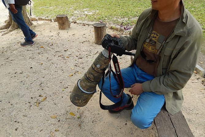 Private Tour: Birdwatching From Cancun - Variety of Birds