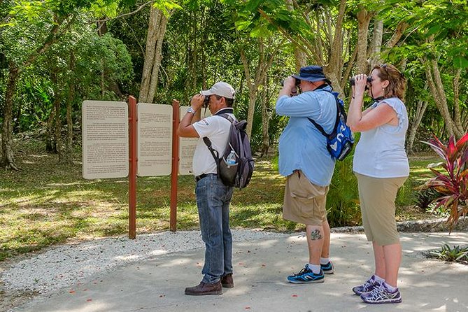 Private Tour: Birdwatching Playa Del Carmen - Tour Details