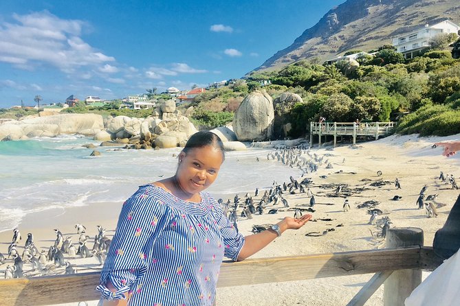 Private Tour: Boulders Beach Penguin Colony and Cape of Good Hope - Tour Details