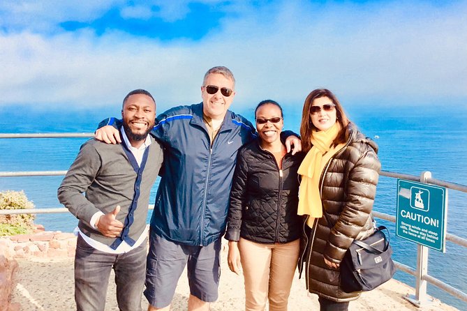 Private Tour: Boulders Beach Penguin Colony and Cape of Good Hope - Reviews