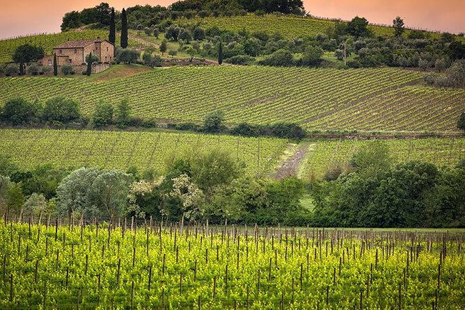 Private Tour Brunello Di Montalcino and Nobile Di Montepulciano Wine Experience in Tuscany - Tour Itinerary