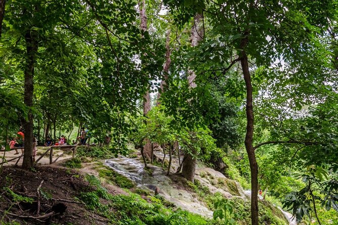Private Tour: Bua Thong Sticky Waterfalls Tour - Tour Overview and Activities