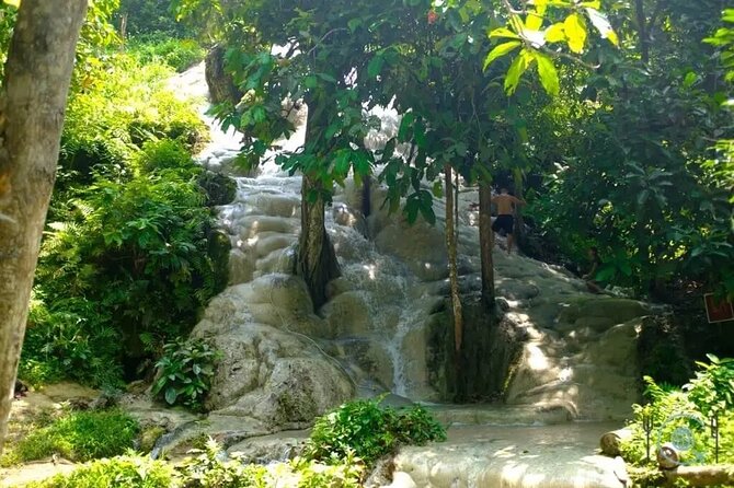 Private Tour: Bua Thong Sticky Waterfalls Tour - Questions and Support