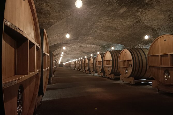 Private Tour: Burgundy Day Tour From Lyon - Tour Highlights