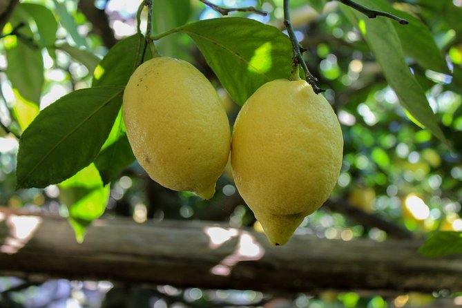 Private Tour by Car From Sorrento to the Amalfi Coast - Traveler Photos and Visual Experiences