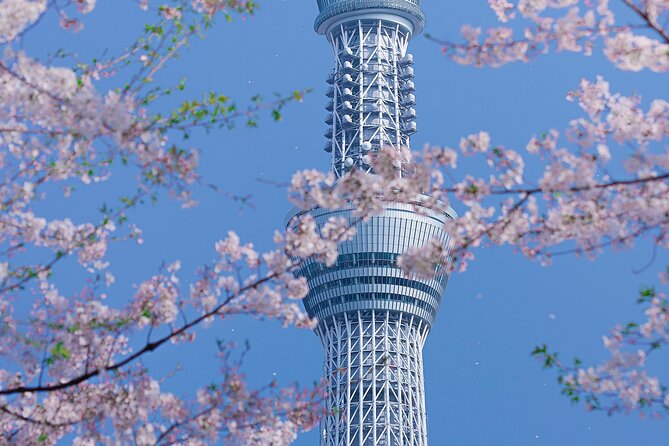 Private Tour by Car in Tokyo - Common Questions