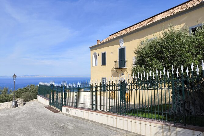 Private Tour by Car Seeing Capri and 1 Hour Visit Positano - Meeting Point