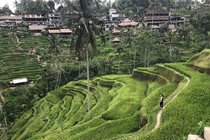 Private Tour by Japanese & English Speaking Driver-KINTAMANI TOUR - Authentic Experiences and Hidden Gems