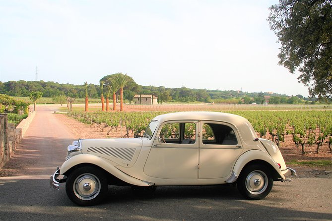 Private Tour by Private Car: Grasse, Cannes, Antibes - Common Questions