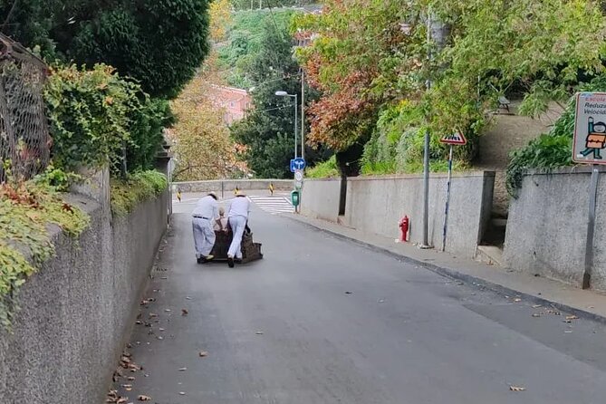 Private Tour Cable Car Toboggan and Botanical Garden - Cancellation Policy and Weather Considerations