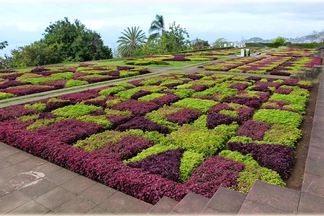 Private Tour Cable Car Toboggan and Botanical Garden - Additional Support and Price Information