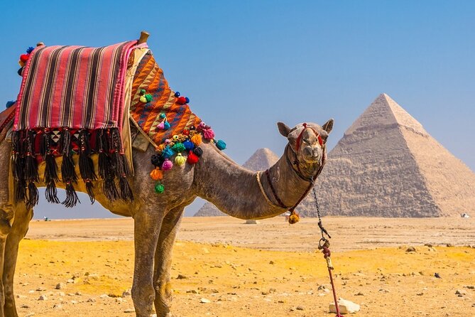 Private Tour: Cairo Day Trip From Hurghada, Including Round-Trip Flights, Giza Pyramids, Sphinx, and - Traveler Reviews